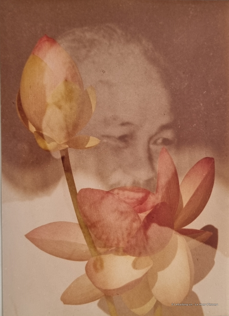 cmvn - 20241026_101857_wm